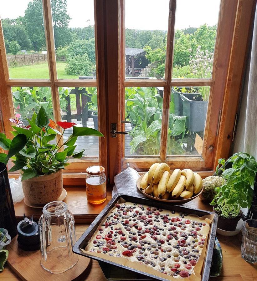 Agroturystyka Dowoli Świeradów-Zdrój Exterior foto